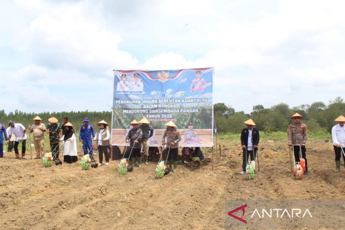 Pemkab Tanjabar dan WKS tanam jagung kuartal IV