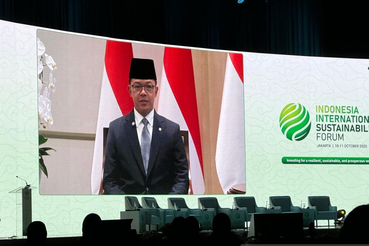 RI encourages green investment, global collaboration for downstreaming