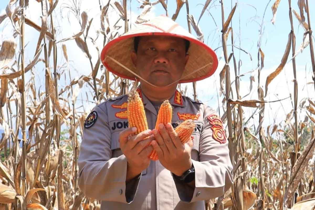 Perwira Polda Aceh ini bangun inovasi kehumasan kawal ketahanan pangan