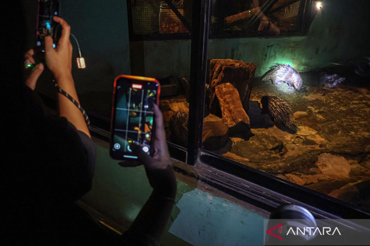 DKI sepekan, konseling lewat JakeCare hingga Ragunan buka malam hari