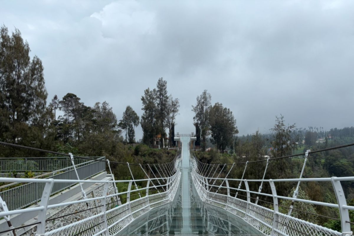 TNBTS: Operasional Jembatan Kaca di Bromo menunggu proses perizinan