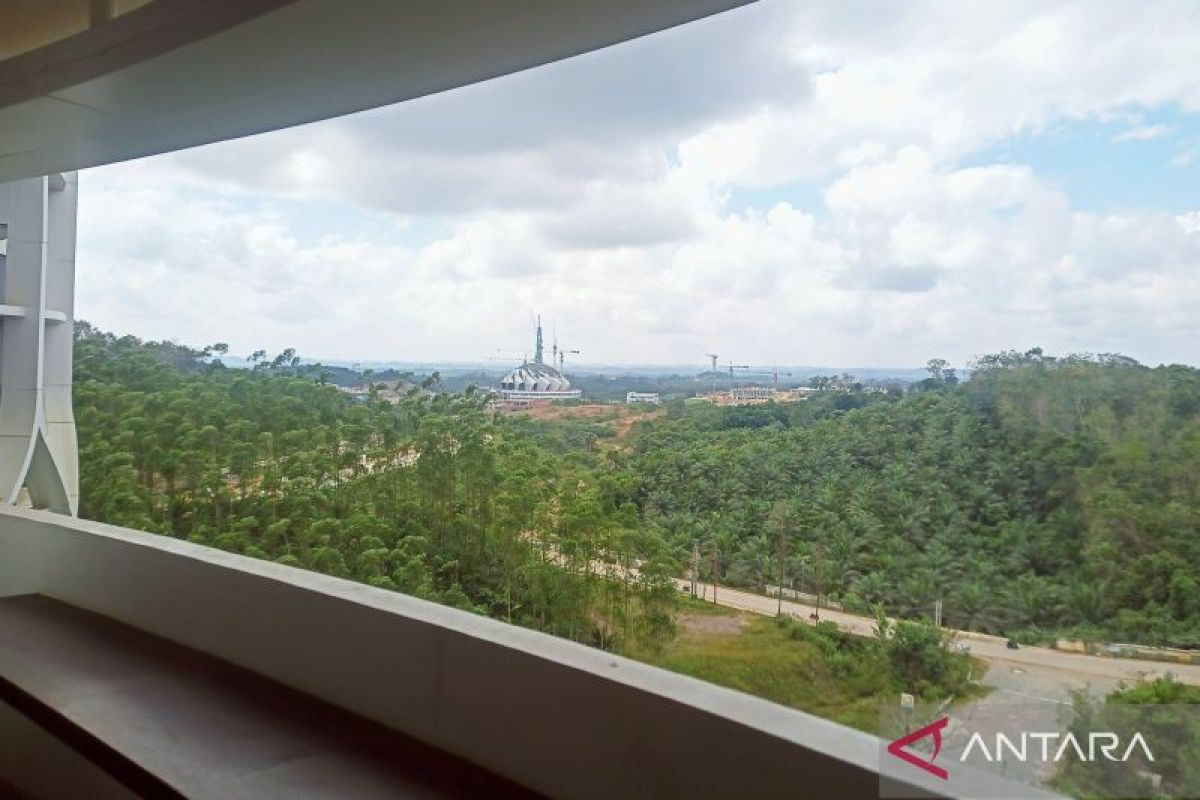 Kemarau 12 tahun, pelajaran dari Tam Leliak