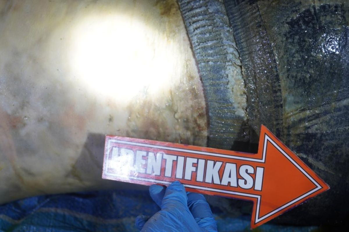 Polres Karimun usut identitas mayat pria ditemukan di Perairan Sekatip