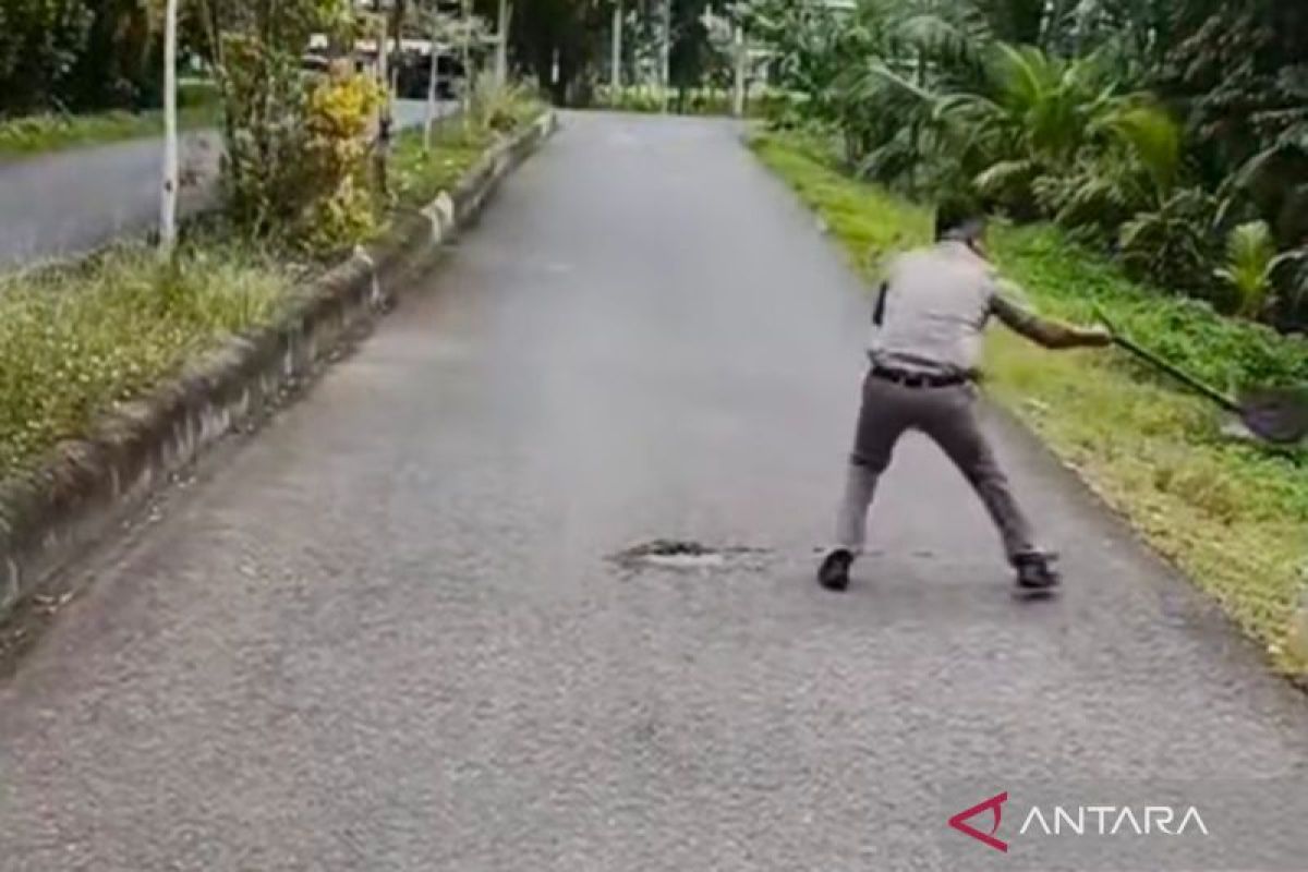 Satpol Mukomuko bersihkan kotoran ternak berserakan di jalan