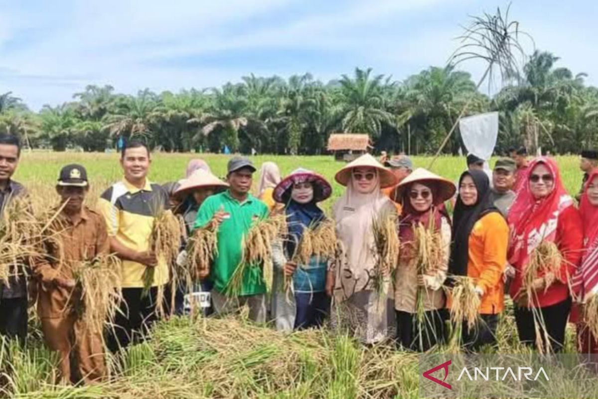 Pasaman Barat peroleh bantuan benih padi dari Kementan RI