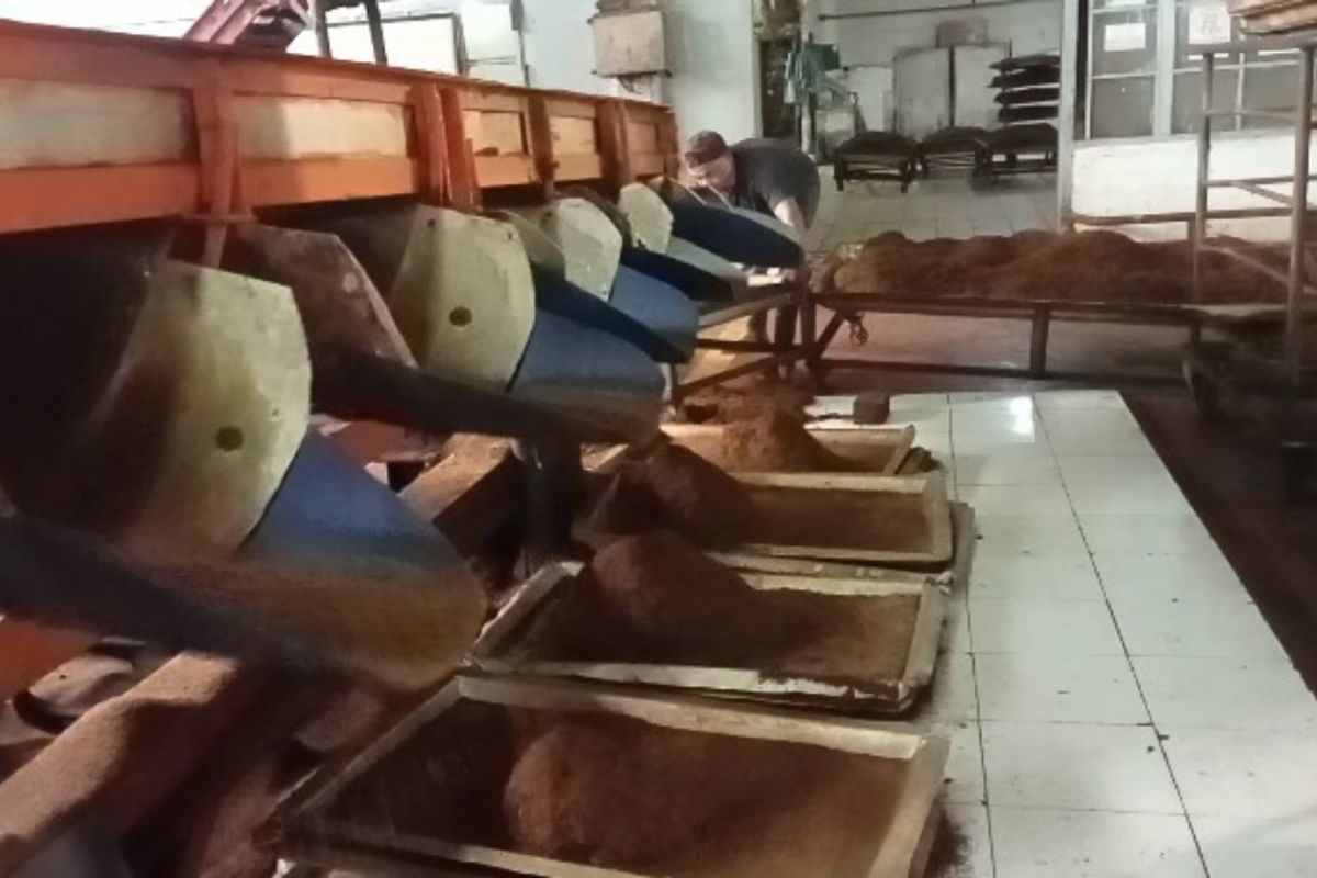 Genap satu abad, teh Kayu Aro masih jadi 