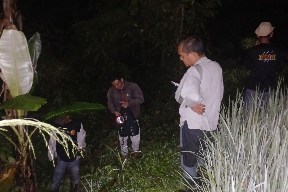 BKSDA Sumbar tangani kemunculan harimau di jalan lintas Sumatera