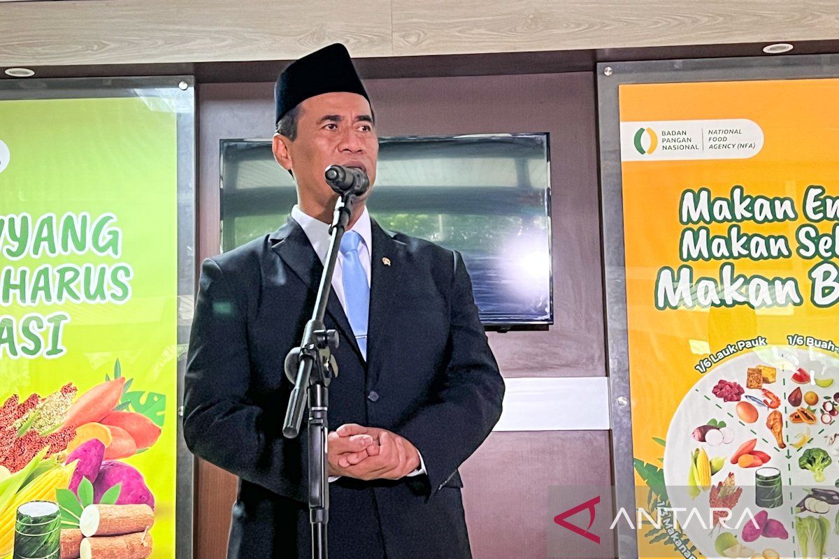 Harta kekayaan Amran Sulaiman, Kepala Badan Pangan Nasional yang baru