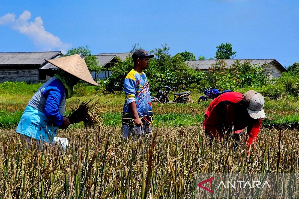 Pemkab Natuna dan BPJS Ketenagakerjaan sinergi lindungi para pekerja rentan