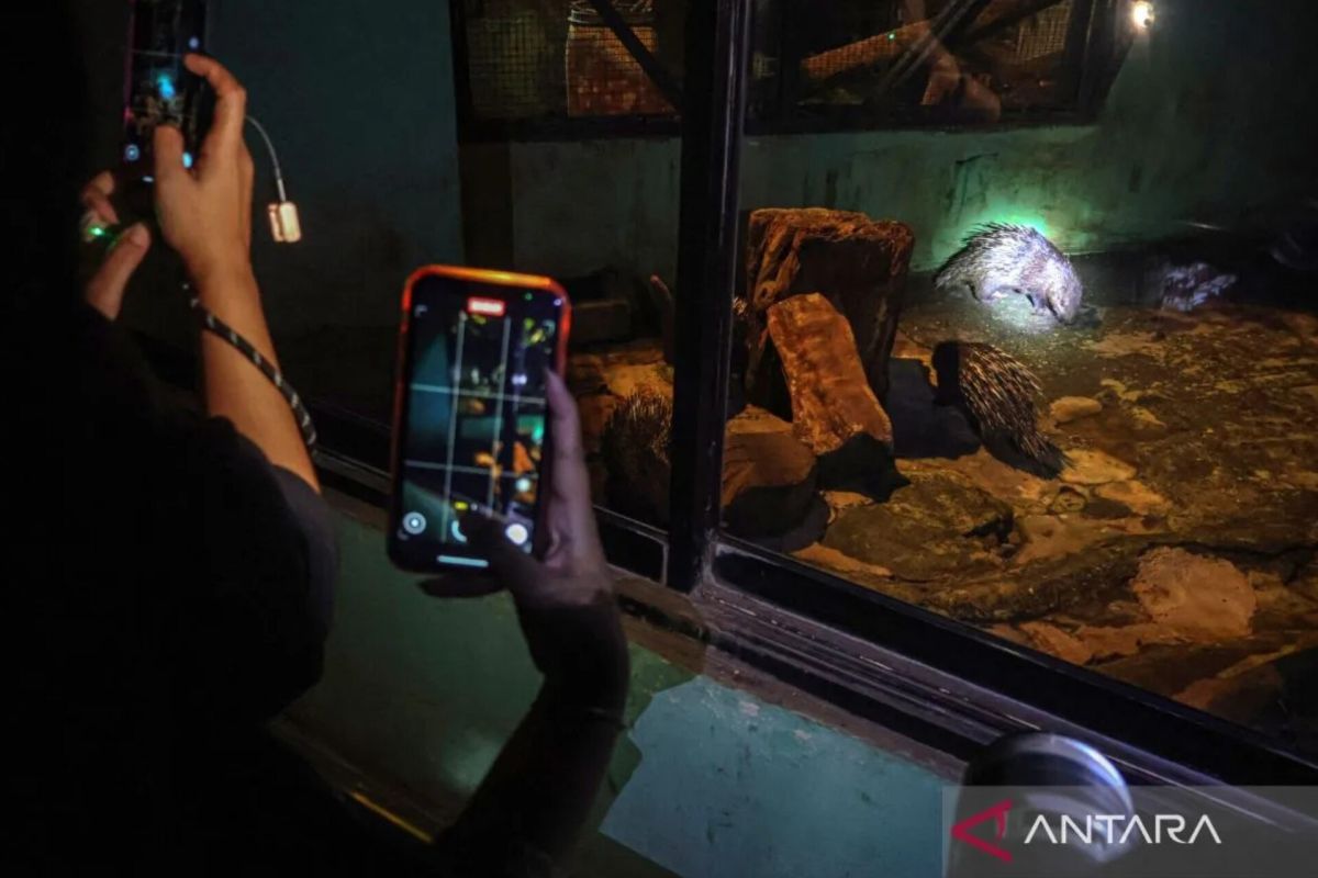 "Ragunan Night" kembali diuji coba pada malam ini