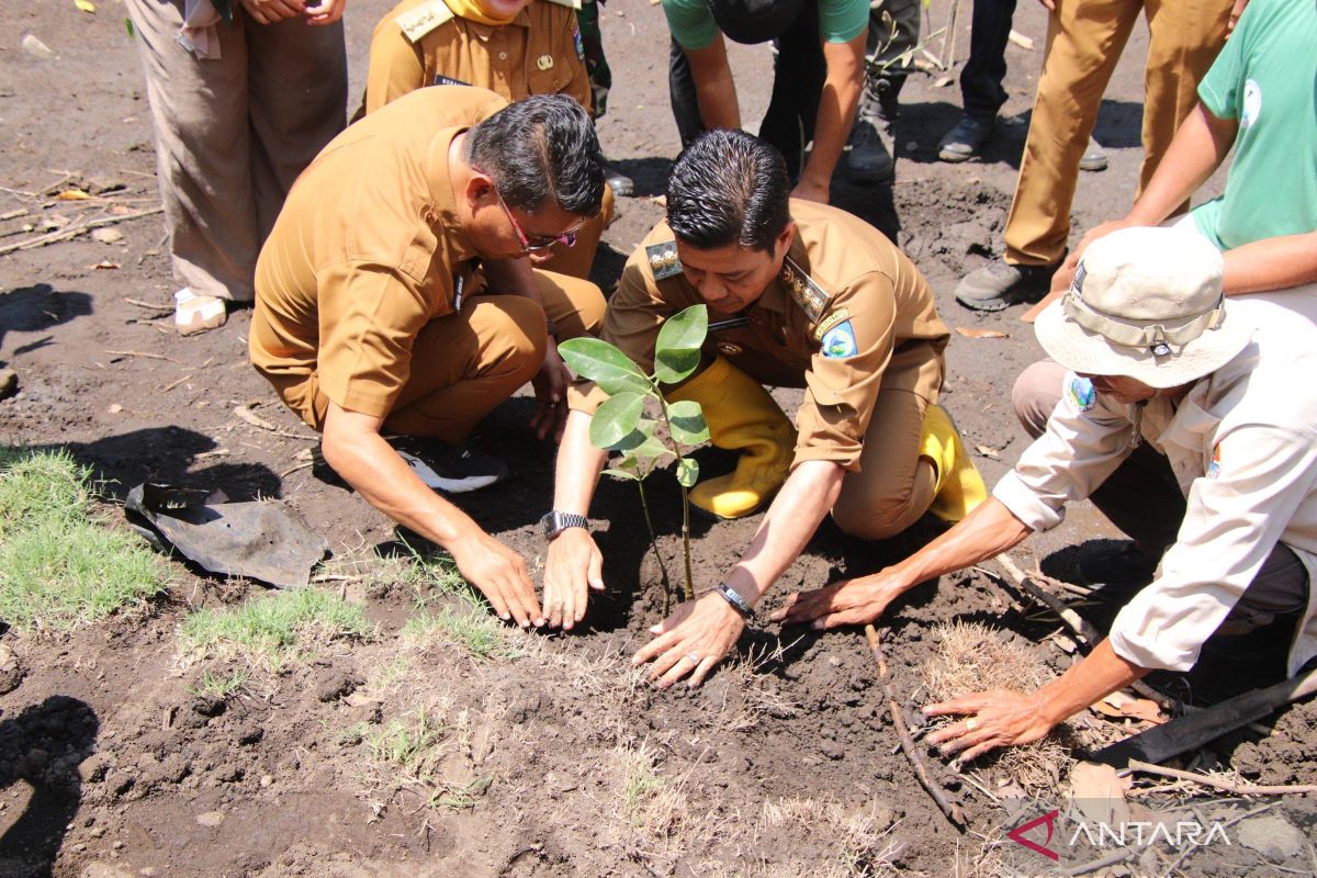 Pemkab Dompu dan Geopark Tambora tanam ribuan mangrove untuk lindungi kawasan pesisir