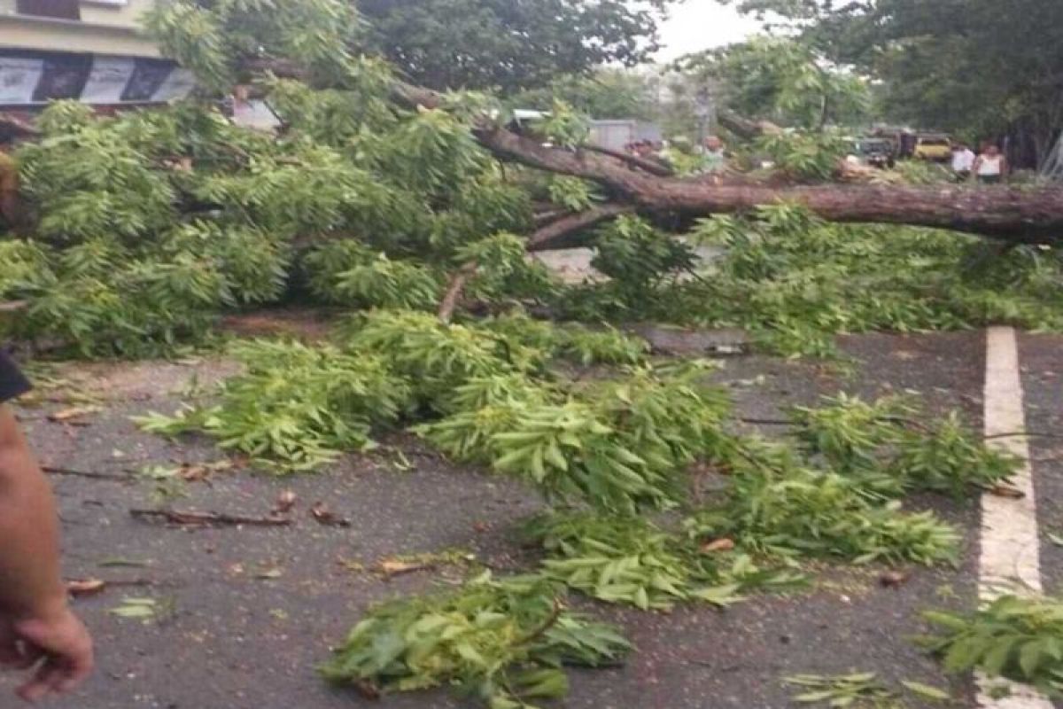 Cuaca ekstrem terjang Dompu, Belasan rumah warga di empat desa rusak