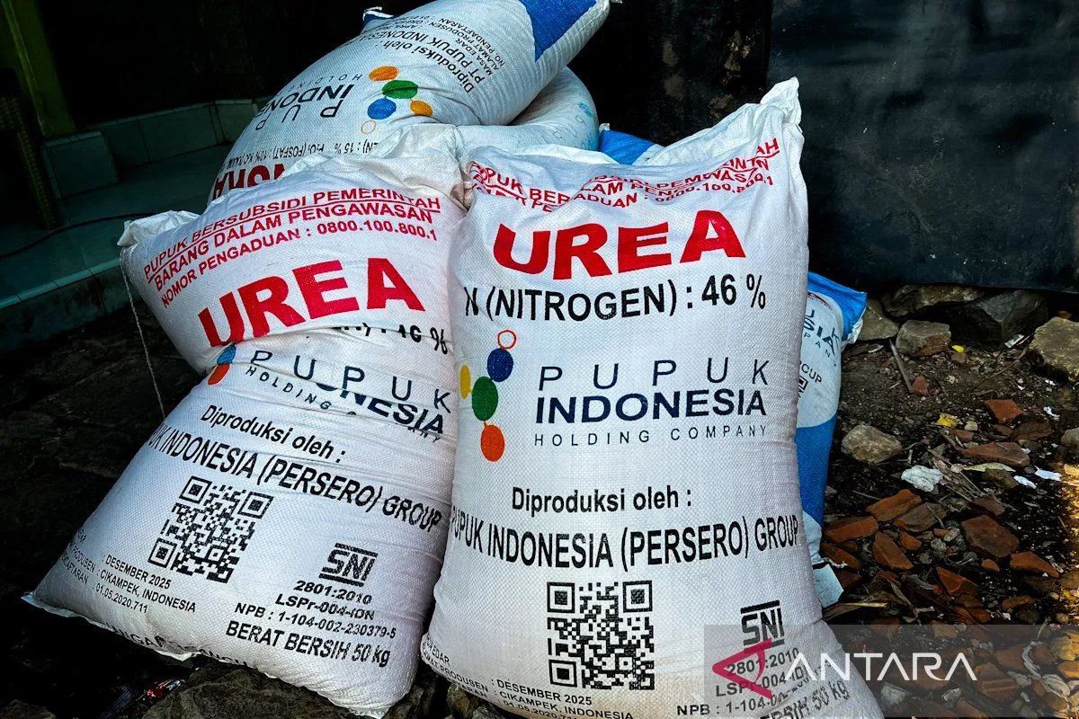 Mentan pastikan temuan kasus pupuk tidak ganggu pertanaman petani