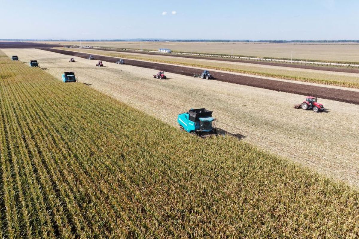 Universitas di China perkenalkan model AI pertanian terbaru