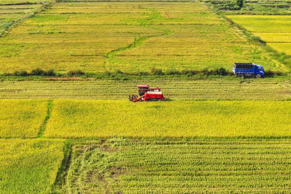 Pakar dunia dorong inovasi iptek untuk pertanian pangan berkelanjutan