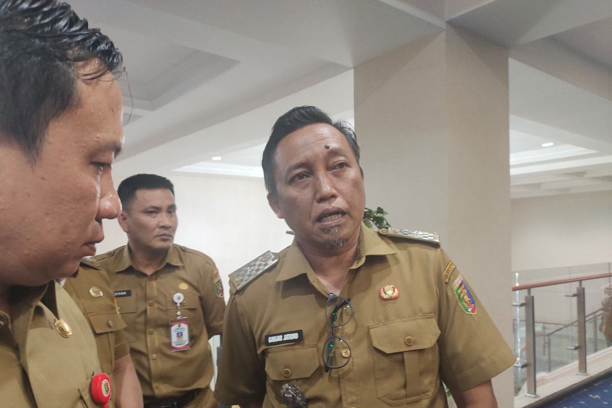 Pacu jalur hari jadi Kuansing, Alam Cahayo Tuah Nagoghi juara pertama