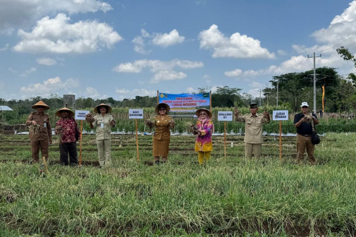 Pemkab Gunungkidul wujudkan kemandirian pangan melalui Lumbung Mataraman