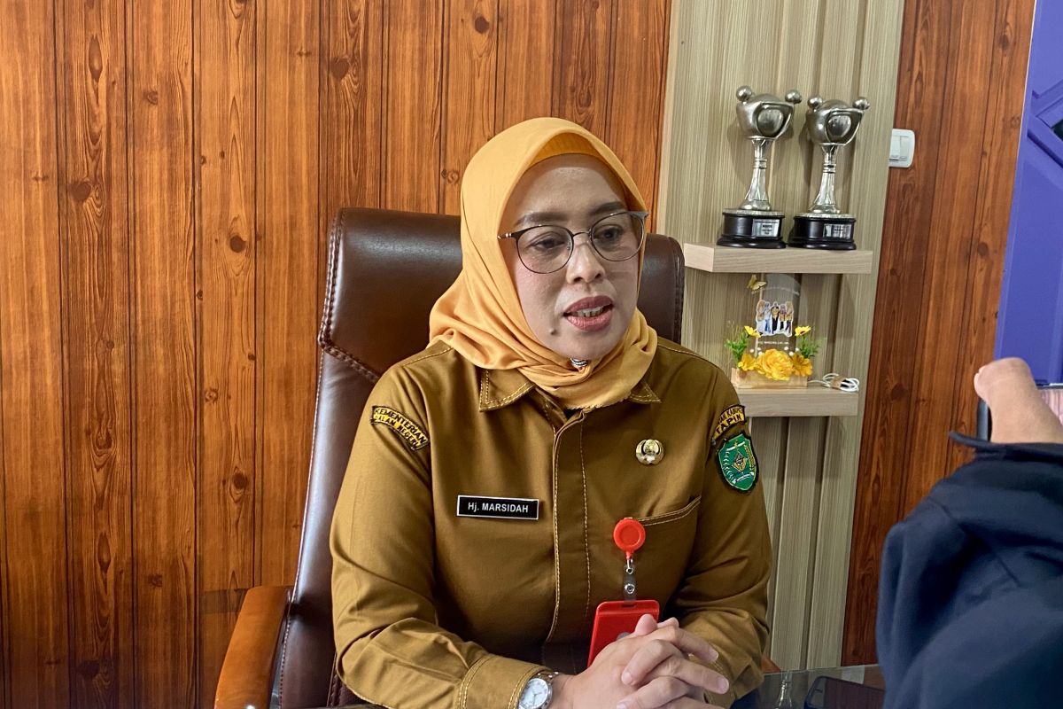 DP3A Tapin dampingi korban kekerasan seksual dilakukan ayah kandung