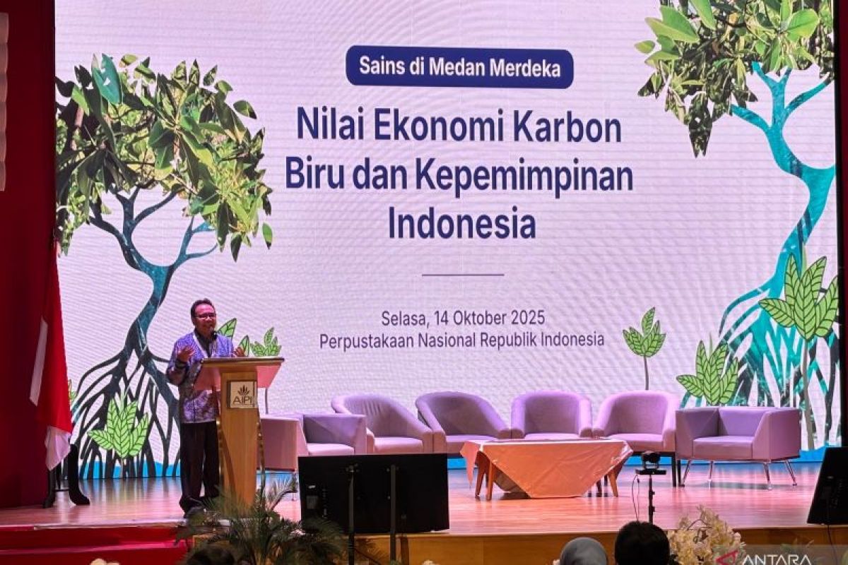 Ilmuwan soroti potensi konservasi mangrove untuk nilai karbon biru