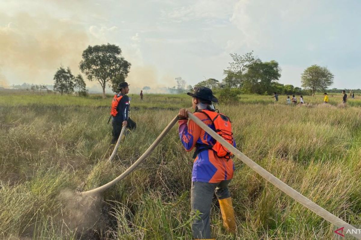 BPBD Tapin catat 17 bencana, karhutla masih mendominasi