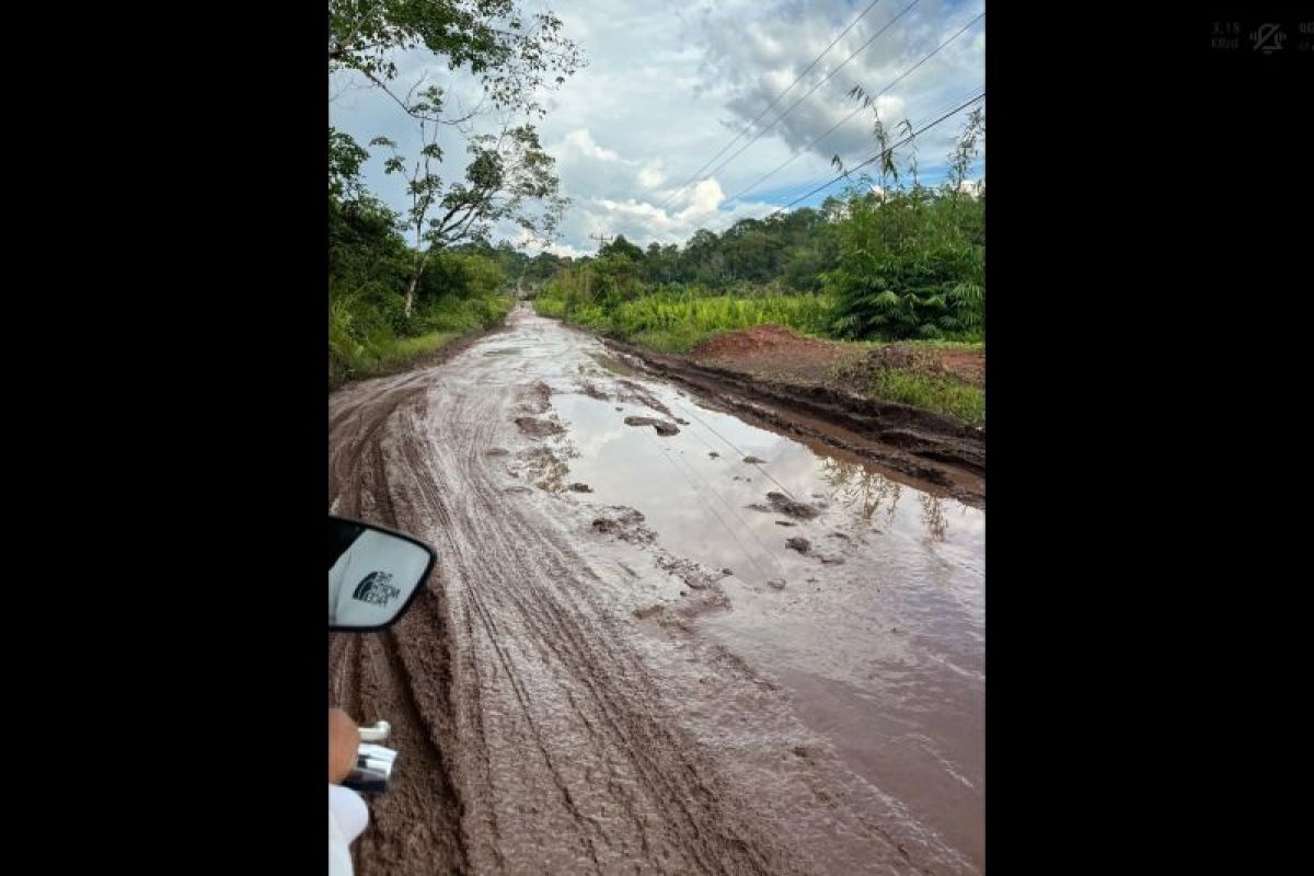 Warga harap ada perbaikan jalan Darit--Meranti yang sudah rusak parah
