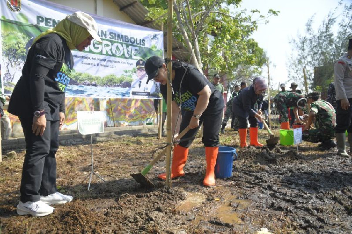 Pemkot Semarang tanam 18.040 bibit mangrove