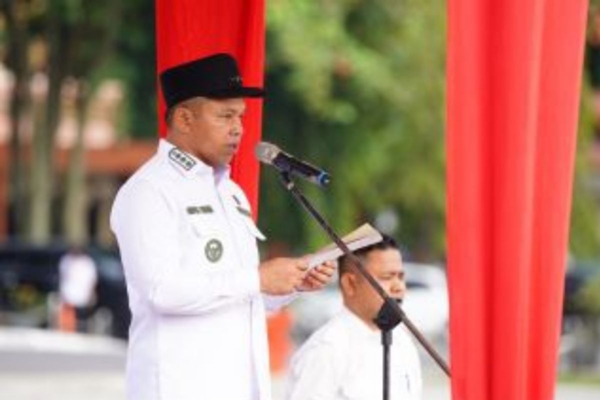 Carikan solusi tenaga kerja, Pemprov Riau bentuk Satgas PHK