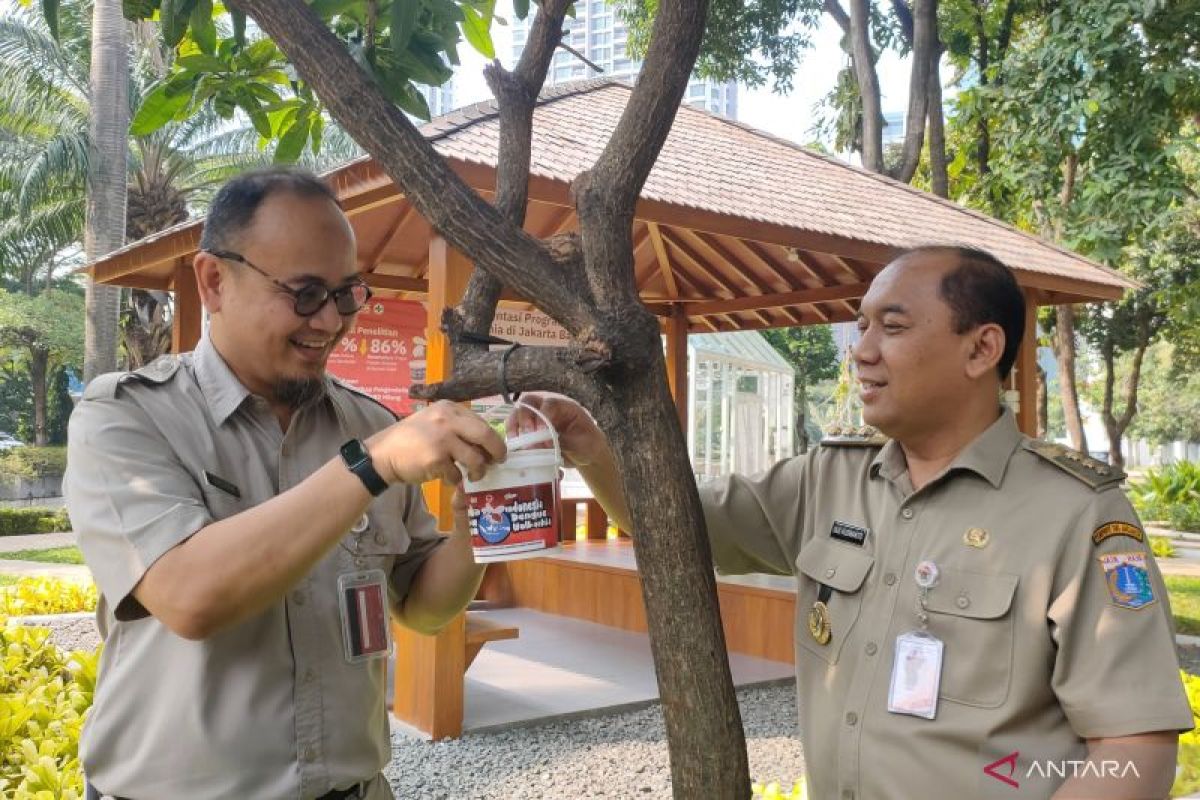 Sebanyak 60 persen nyamuk lokal di Srengseng telah mengandung Wolbachia