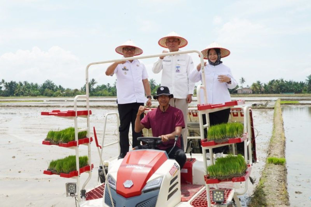 Langkat klaster padi binaan Bank Indonesia