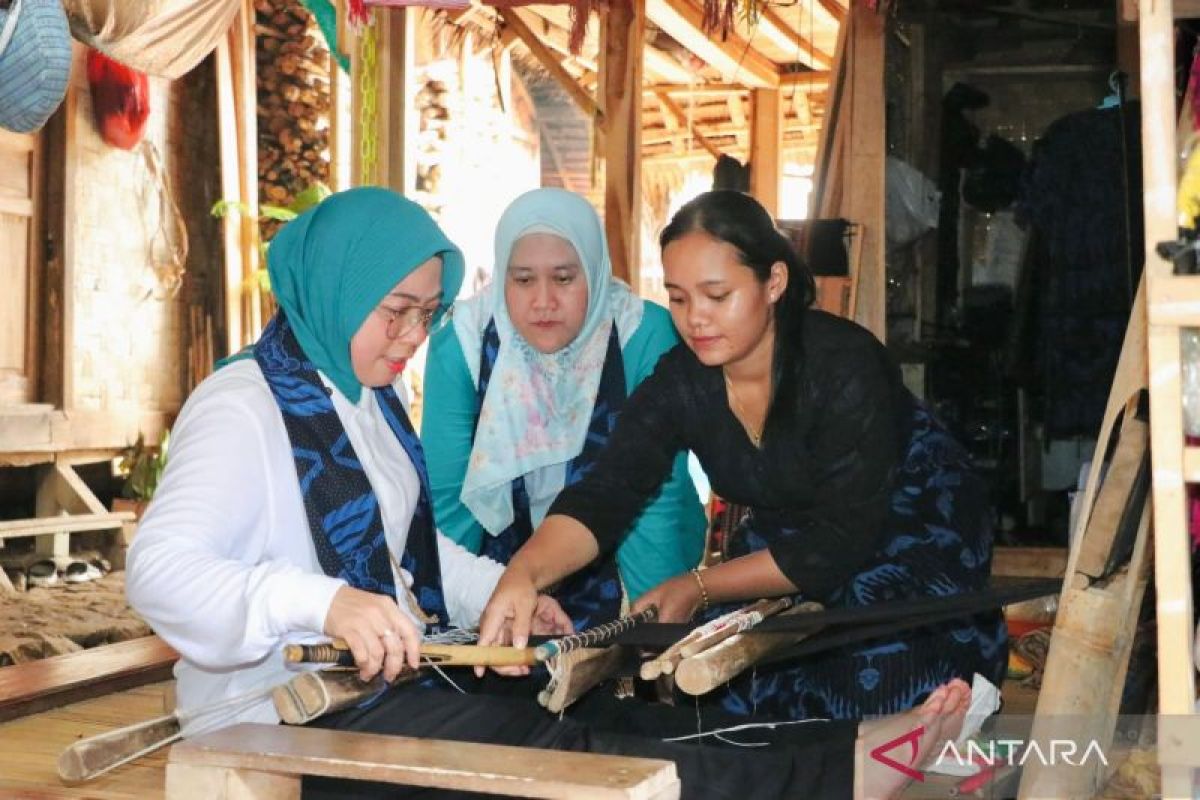 PLN dan TP PKK Banten bersinergi di Desa Wisata Badui