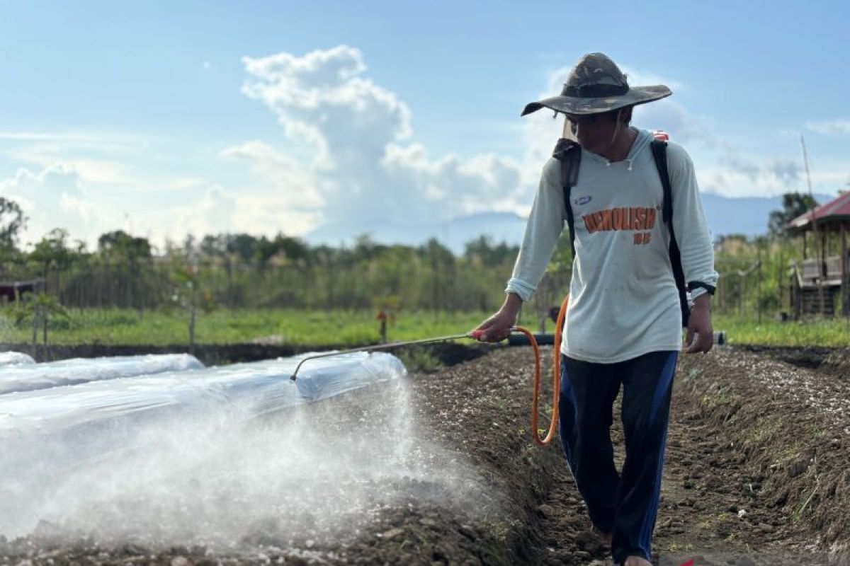 IMIP kembangkan program Hortikultura di lingkar Industri
