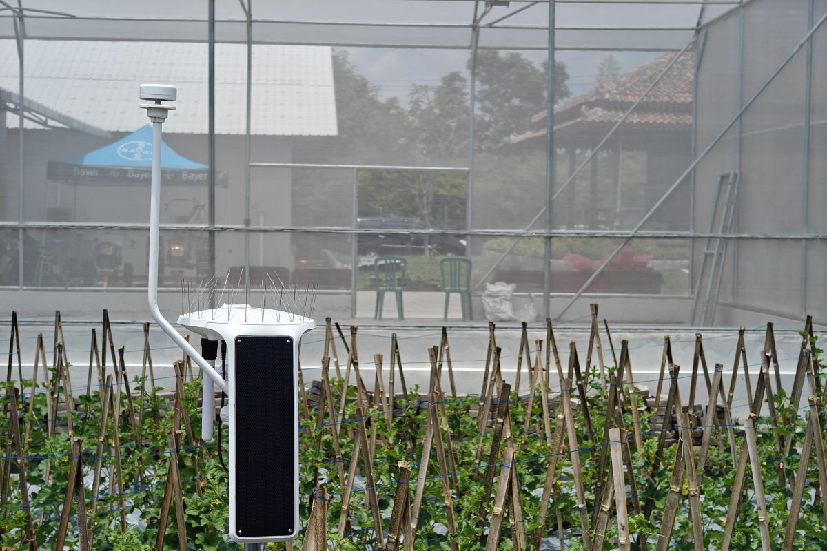 Petani didorong kuasai ilmu baru lewat akademi pertanian Bayer JUARA
