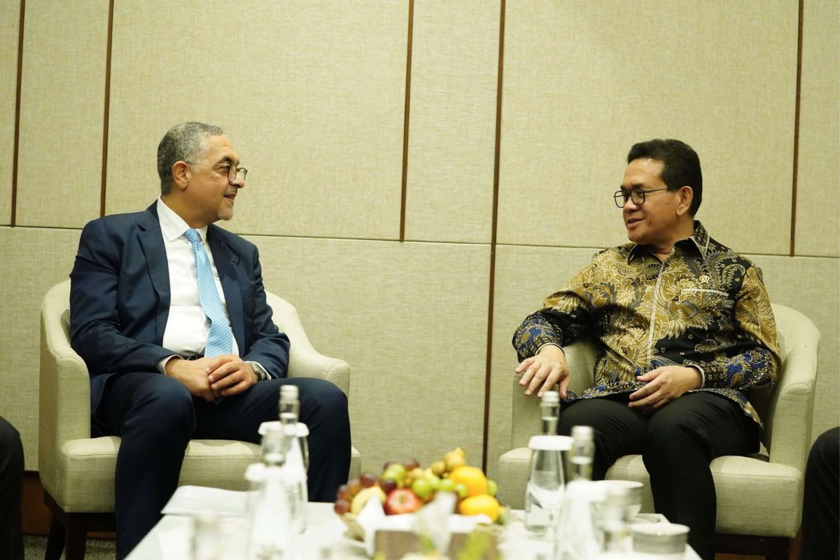Indonesia pushes for trade pact with Egypt to spur growth