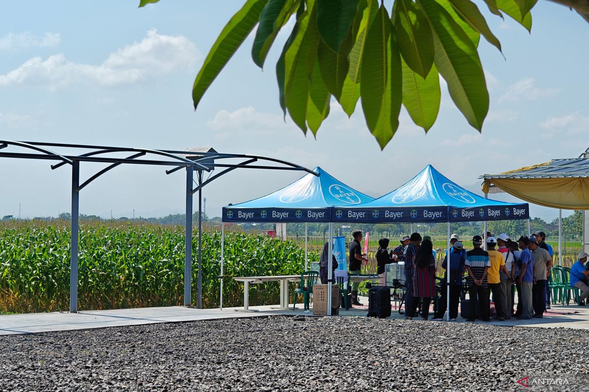 Risiko resistensi hama jadi pembahasan ahli inovasi pertanian nasional