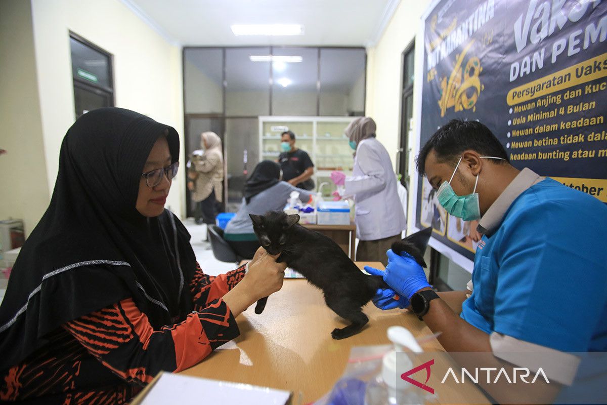 FOTO - Karantina gelar vaksinasi rabies gratis di Aceh