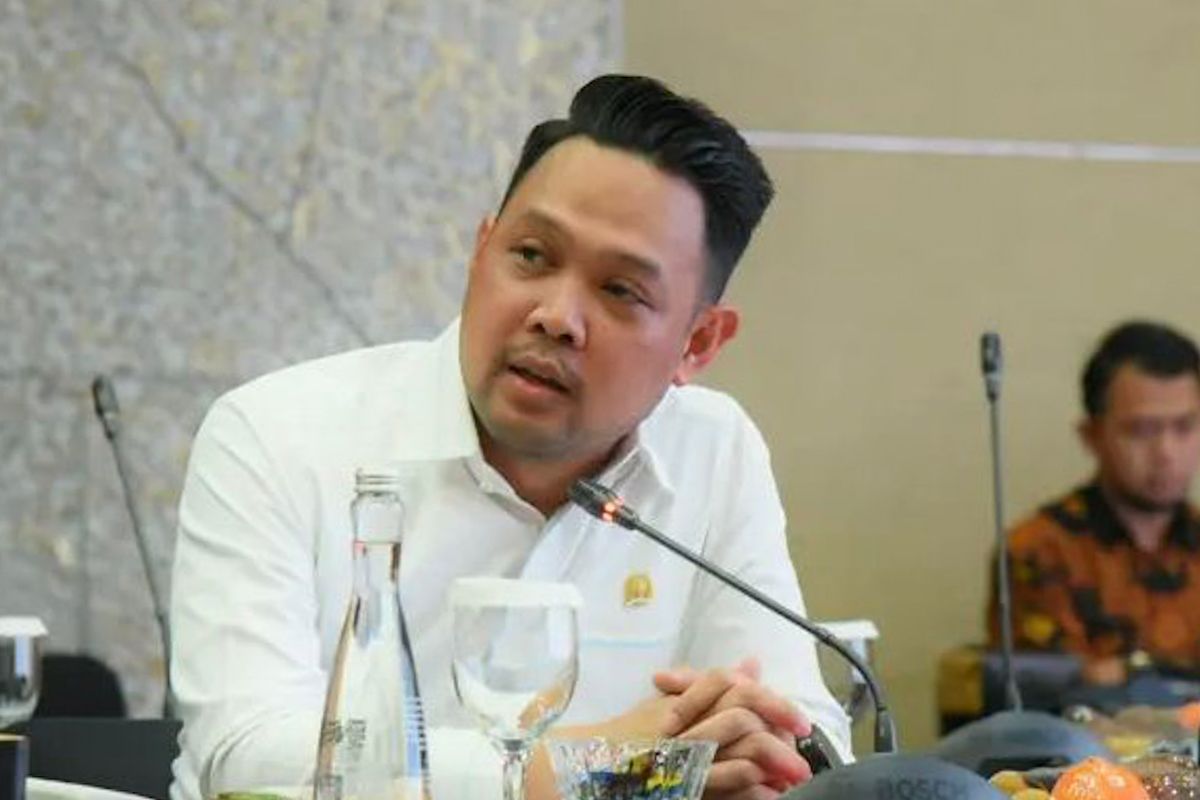 Anggota DPR: Penunjukan WNA jadi direksi BUMN harus berdasar keahlian