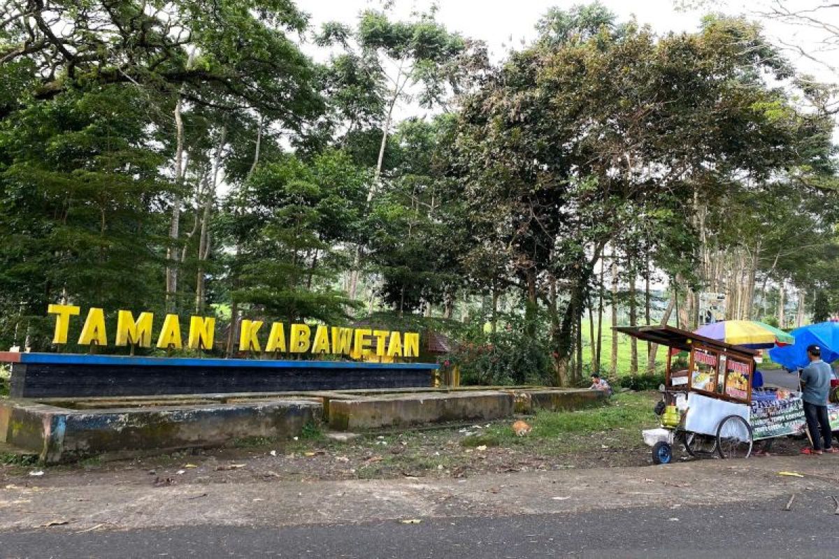 Menikmati sejuknya kebun teh Kabawetan, ikon wisata alam Kepahiang