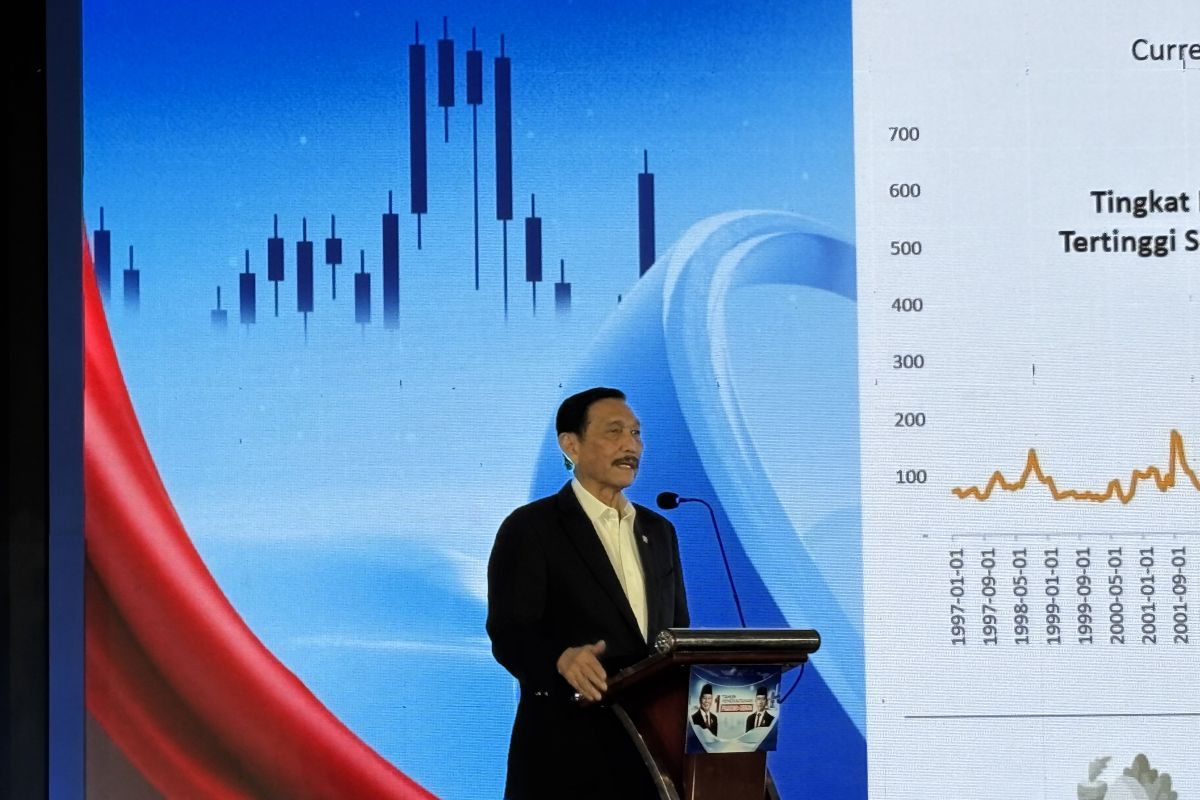 Luhut sebut "family office" tak berkaitan dengan APBN