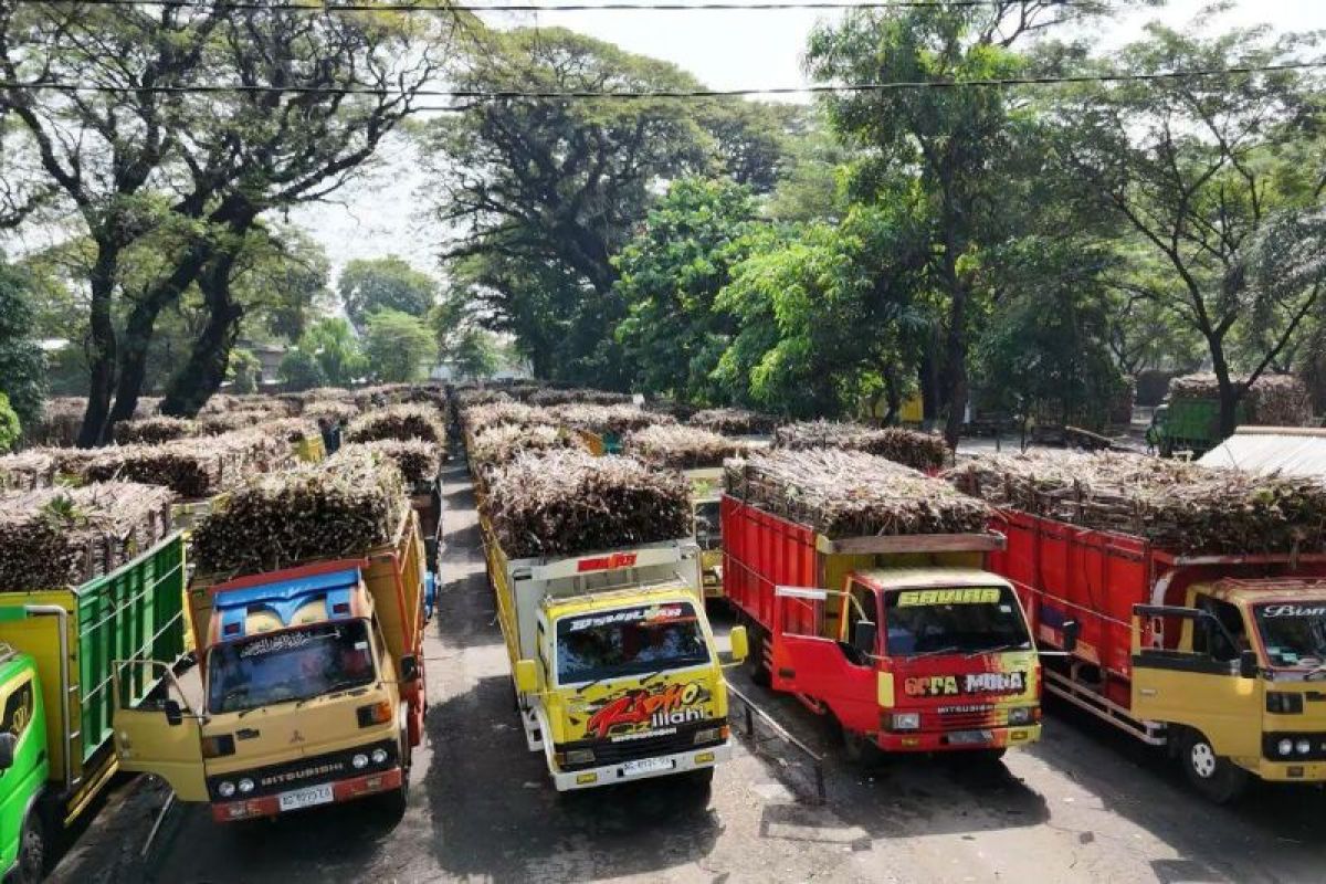 PG Ngadirejo Kediri giling 9 juta kuintal tebu dalam 157 hari