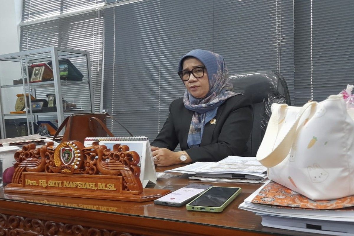 DPRD Kalteng tegaskan raperda pertambangan bukan hanya soal IPR