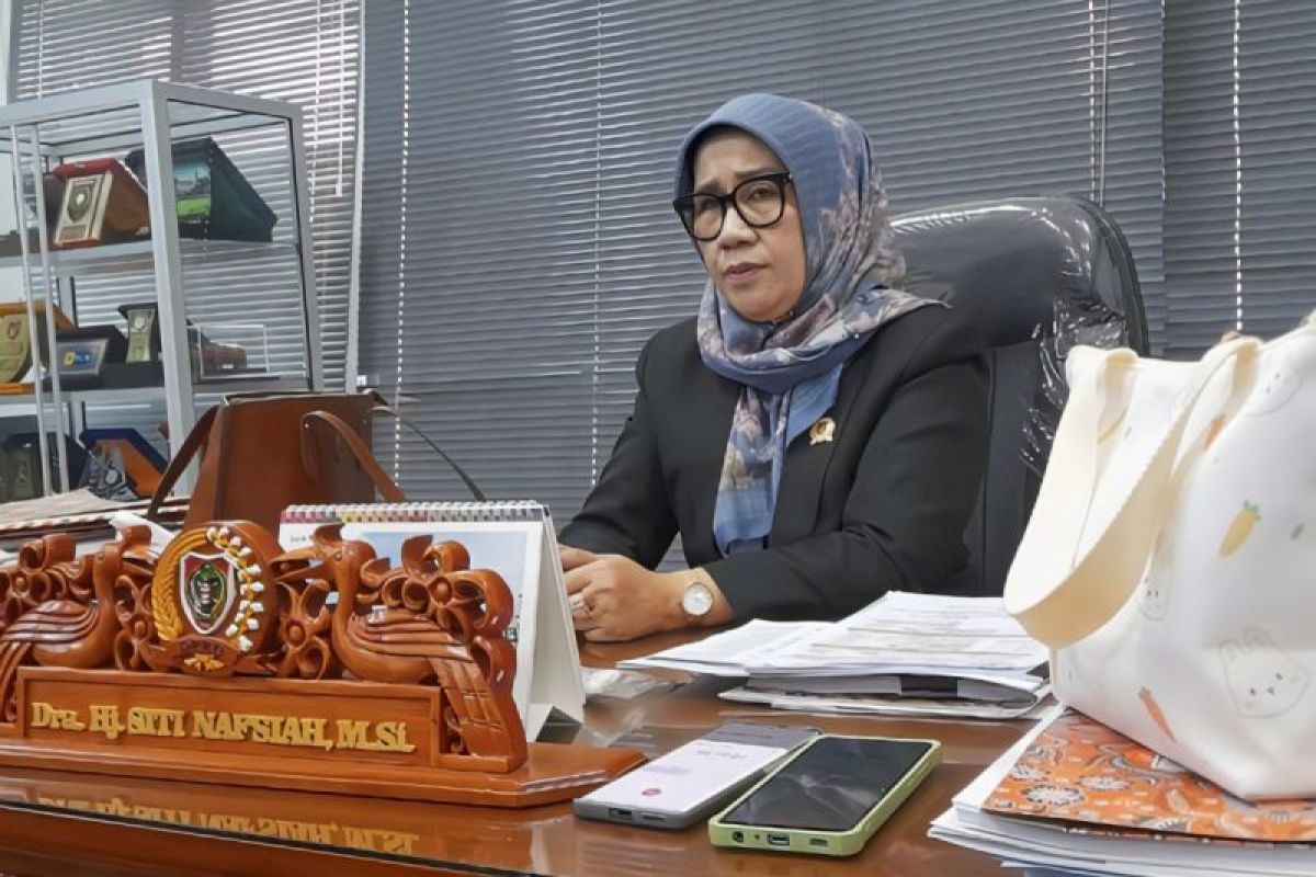 DPRD Kalteng sebut perlu ketegasan pemerintah terkait realisasi plasma