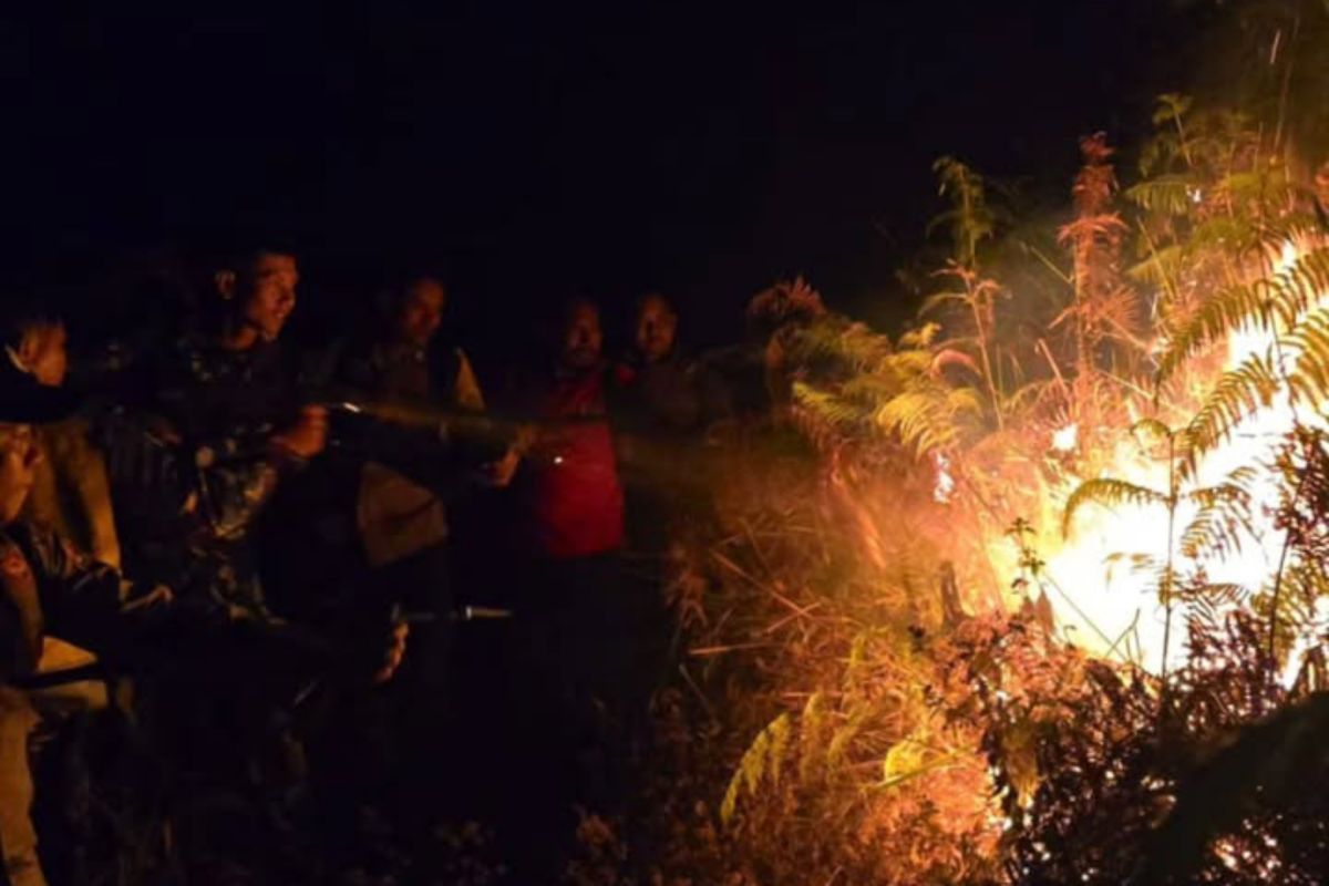 Wildfire burns 10 hectares in Mount Rinjani National Park