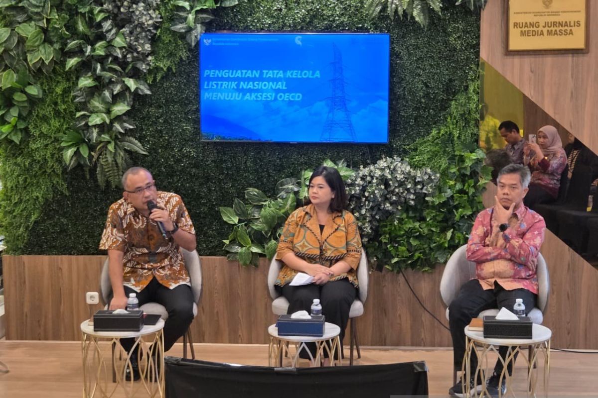 Tim peneliti usul pembentukan lembaga pengawas tata kelola kelistrikan