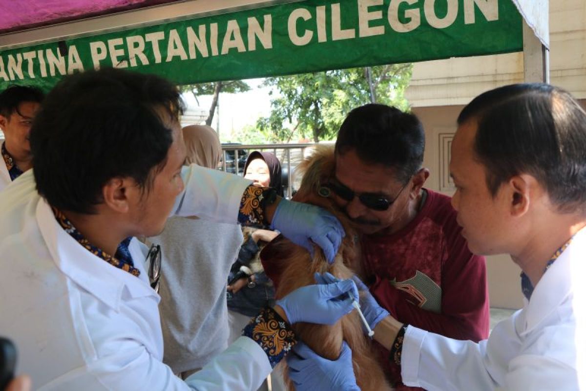 73 hewan penular rabies di Banten divaksin gratis