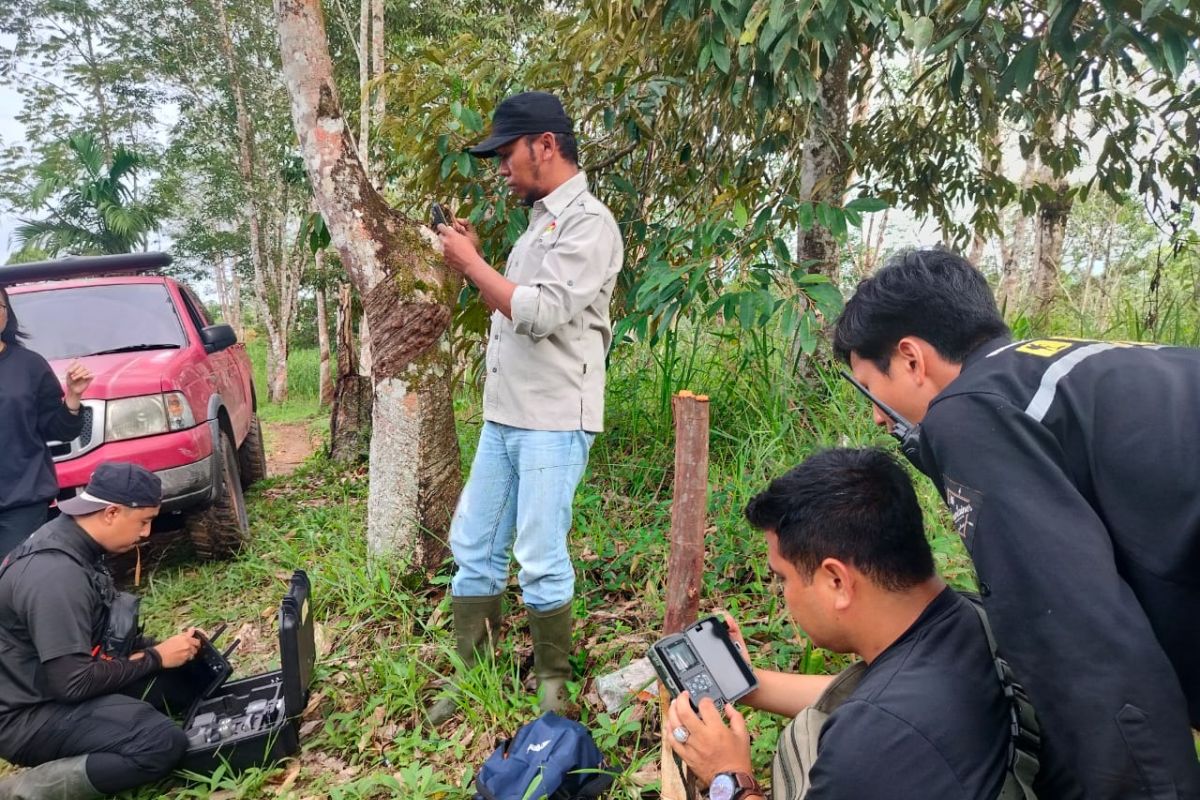 Kamera jebak hingga drone dikerahkan verifikasi harimau muncul di Agam