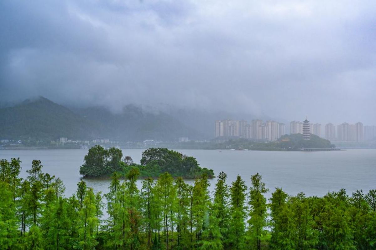 Menilik hasil upaya restorasi ekologi Danau Hanfeng di Chongqing