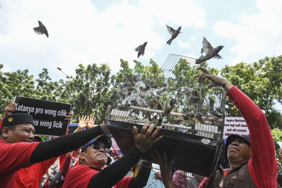 Sentra Fauna Lenteng Agung siap ditempati eks pedagang Pasar Barito