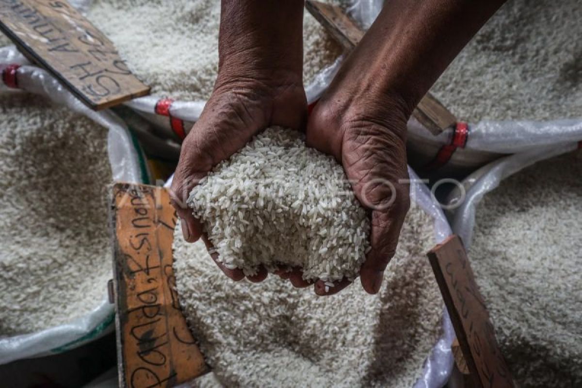 Pemerintah pertimbangkan subsidi angkutan guna tekan harga beras di 3T