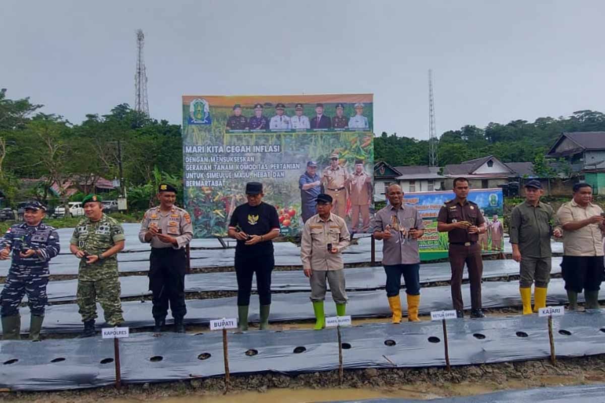 Pemkab Simeulue manfaatkan lahan kosong untuk ketahanan pangan