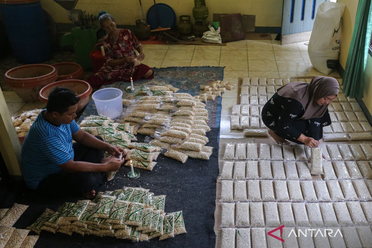 Tahu dan tempe, Sumber protein terjangkau penopang gizi anak Indonesia